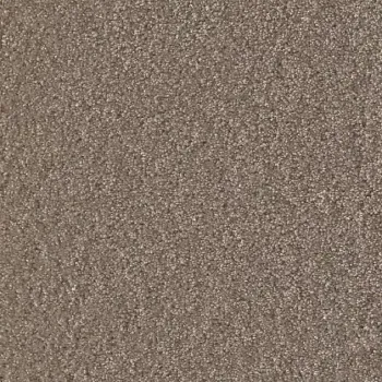 Draufsicht Girloon Cloud 861 Velours Teppichboden